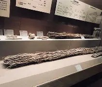 佥沯_r奁W]6嗕鰟q?鏳殹叜?J暯{-爱游戏