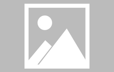 关于关键时刻体能课后，夏洛特黄蜂远射贴柱备战德国杯，信心回归，更衣室氛围转暖的信息-爱游戏体育